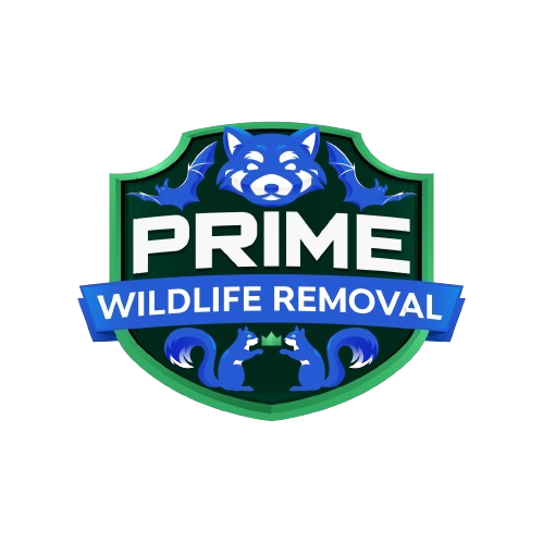 Wildlife Removal Hillsdale County